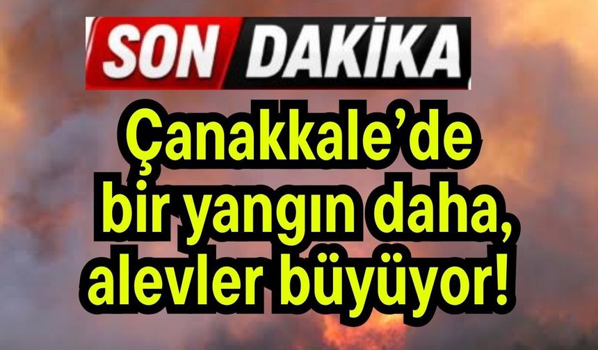 Çanakkale’de bir yangın daha, alevler büyüyor!