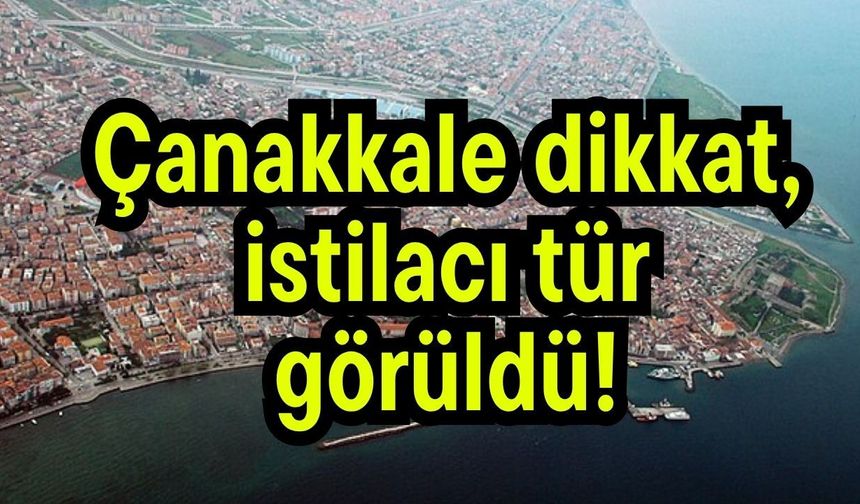 Çanakkale dikkat, istilacı tür görüldü!