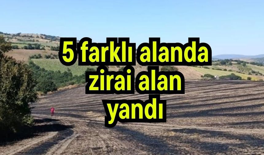 5 farklı alanda zirai alan yandı (Video)