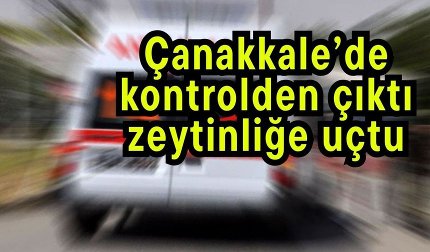 Çanakkale’de kontrolden çıktı, zeytinliğe uçtu