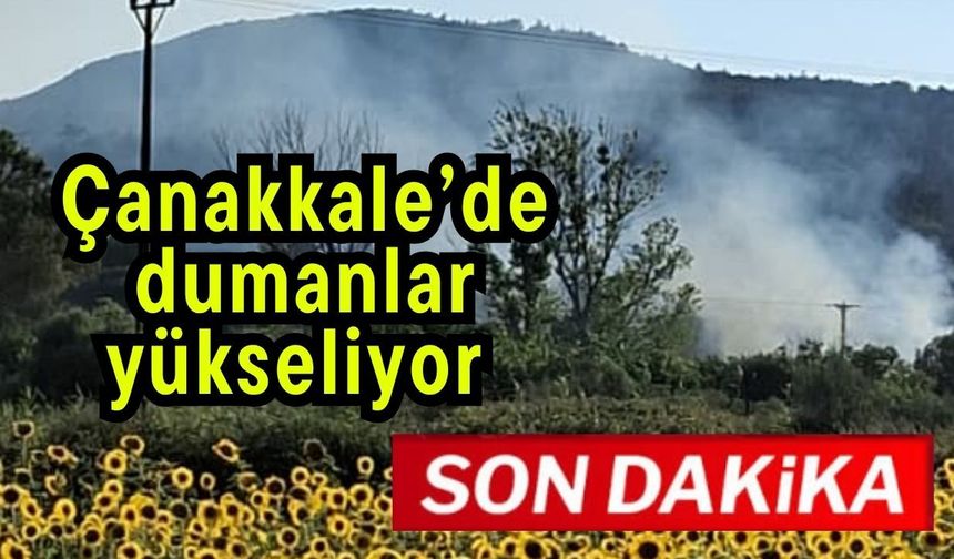 Çanakkale’de dumanlar yükseliyor