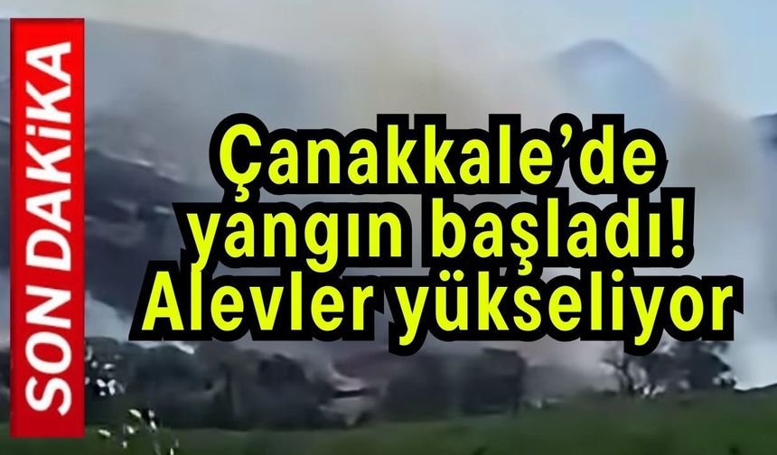 Çanakkale’de yangın başladı! Alevler yükseliyor