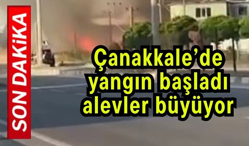Çanakkale’de yangın başladı! Alevler büyüyor