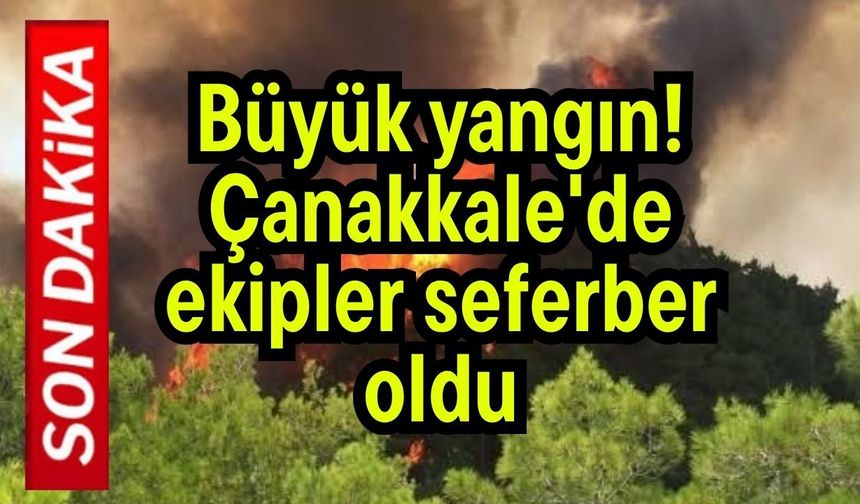 Büyük yangın! Çanakkale'de ekipler seferber oldu