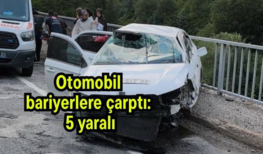 Otomobil bariyerlere çarptı: 5 yaralı