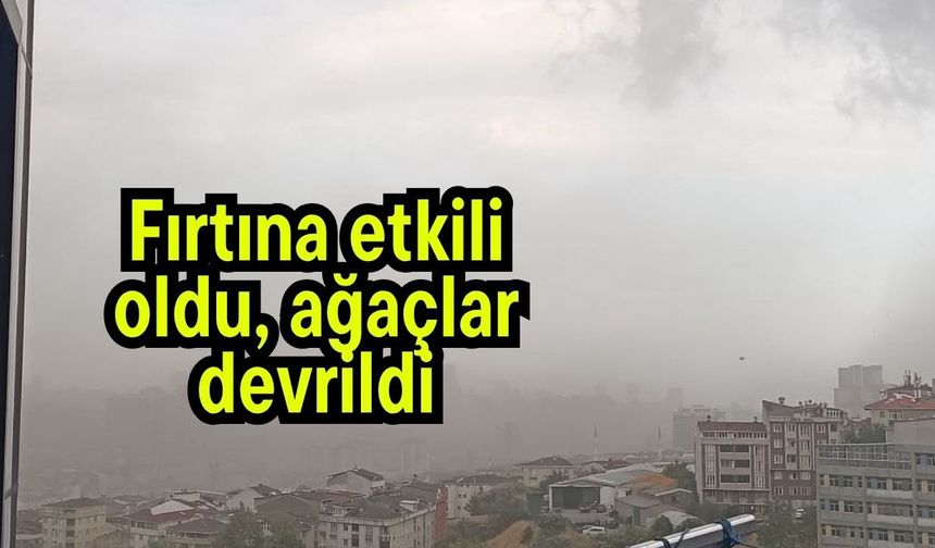 Fırtına etkili oldu, ağaçlar devrildi