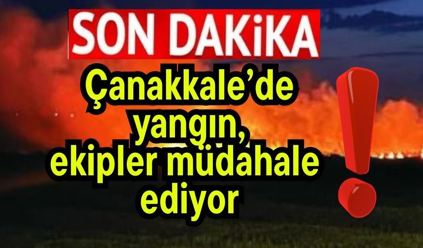 Çanakkale’de yangın, ekipler müdahale ediyor