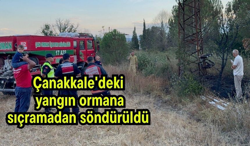 Çanakkale'deki yangın ormana sıçramadan söndürüldü