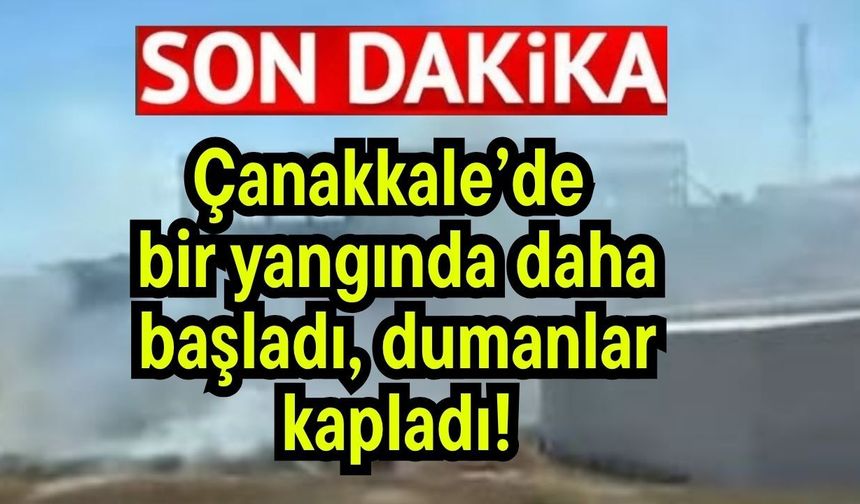 Çanakkale’de bir yangın daha başladı, dumanlar kapladı!