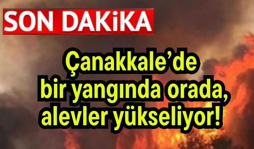 Çanakkale’de bir yangında orada, alevler yükseliyor!