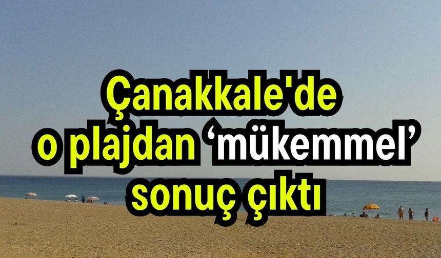 Çanakkale'de  o plajdan ‘mükemmel’ sonuç çıktı