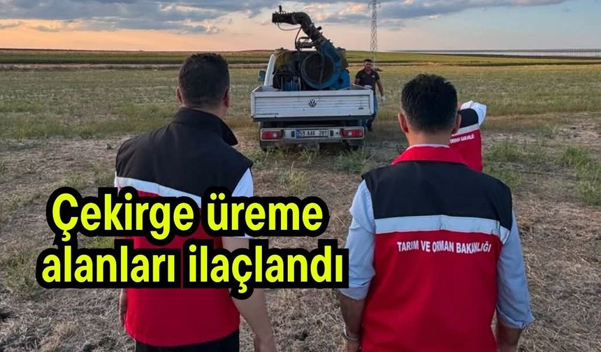 Çekirge üreme alanları ilaçlandı (Video)