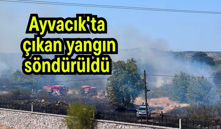 Ayvacık'ta çıkan yangın söndürüldü (Video)