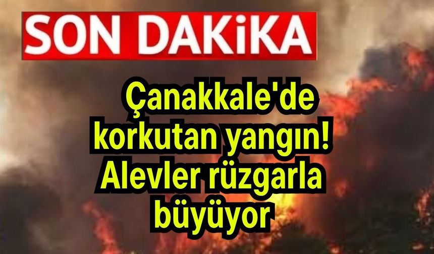 Çanakkale'de korkutan yangın! Alevler rüzgarla büyüyor