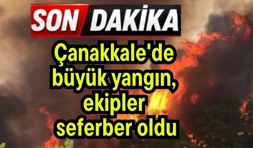 Çanakkale'de yangın, ekipler seferber oldu
