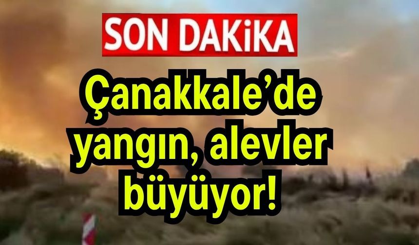 Çanakkale’de yangın, alevler büyüyor!