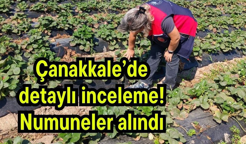Çanakkale’de detaylı inceleme! Numuneler alındı
