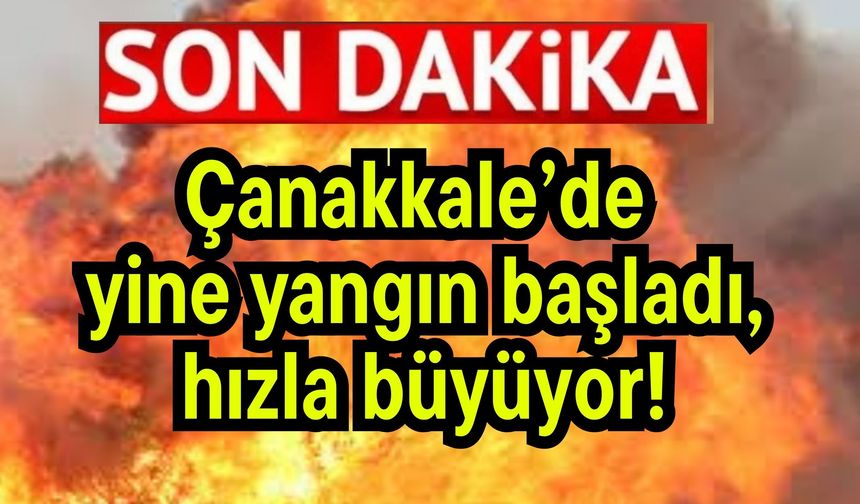 Çanakkale’de yine yangın başladı, hızla büyüyor!