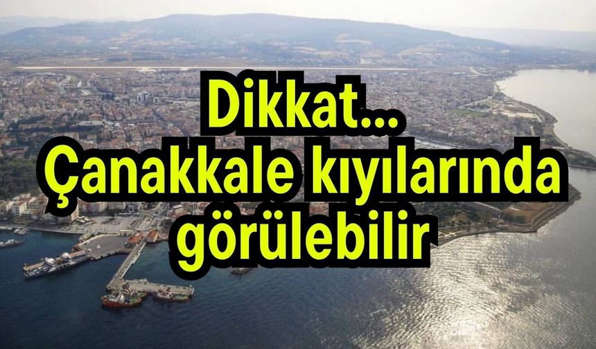 Dikkat... Çanakkale kıyılarında görülebilir