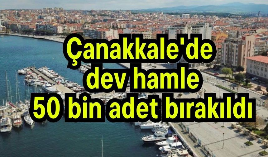 Çanakkale'de 50 bin adet bırakıldı