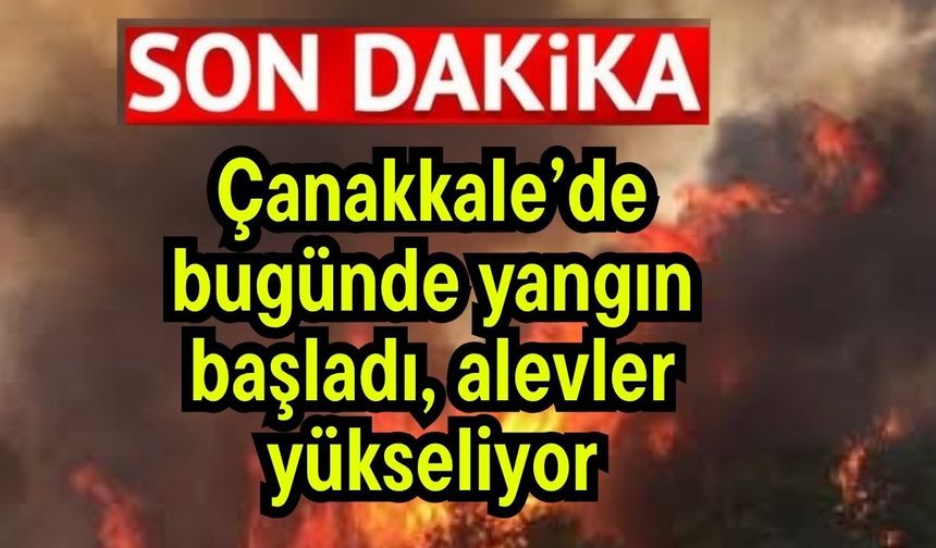 Çanakkale’de bugünde yangın başladı, alevler yükseliyor