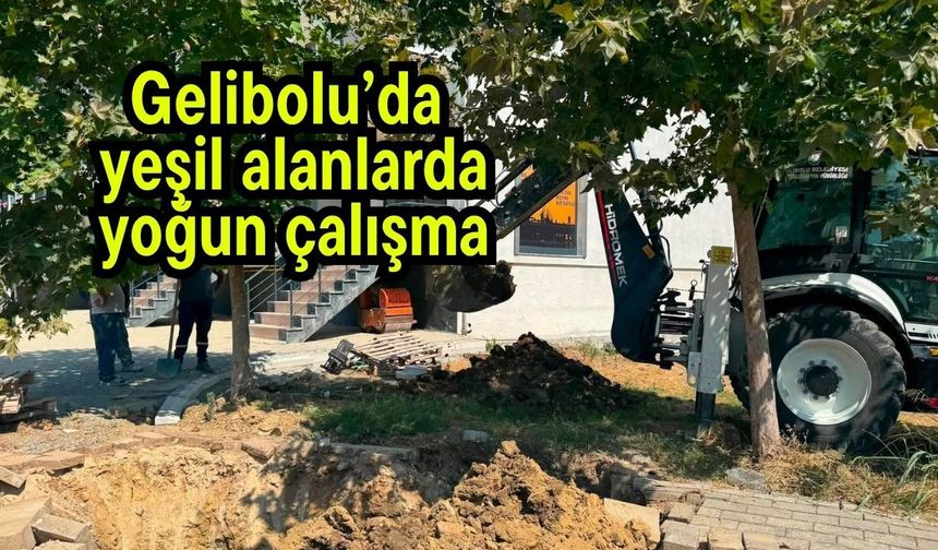 Gelibolu’da yeşil alanlarda yoğun çalışma