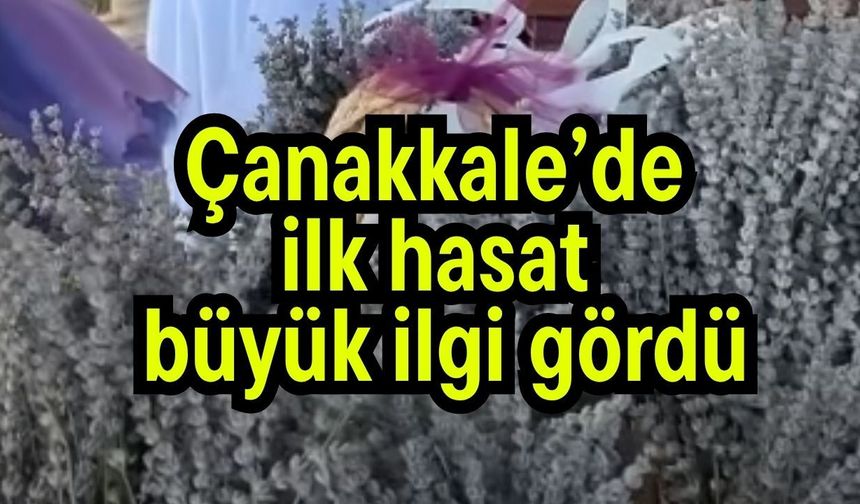 Çanakkale’de ilk hasat büyük ilgi gördü