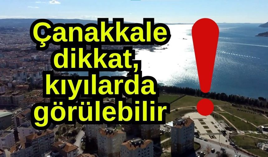 Çanakkale dikkat, kıyılarda görülebilir!