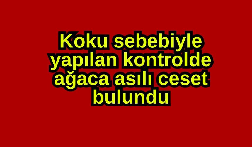 Koku sebebiyle yapılan kontrolde ağaca asılı ceset bulundu