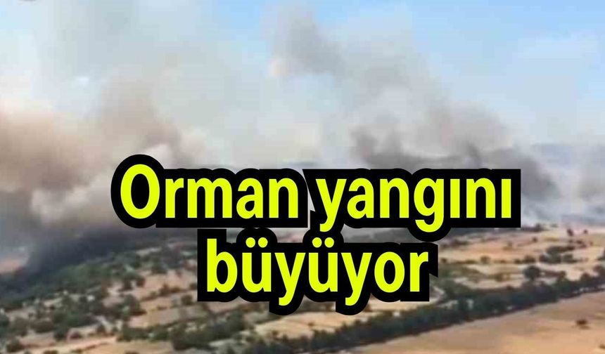 Orman yangını büyüyor