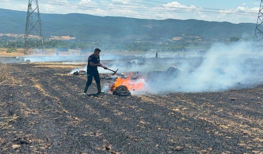 Çanakkale'de tarım arazisinde yangın (Video)