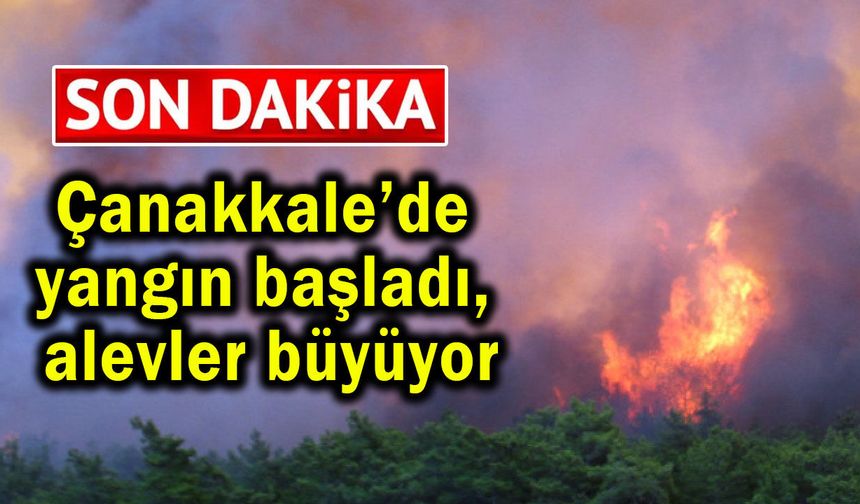 Çanakkale’de yangın başladı, alevler büyüyor