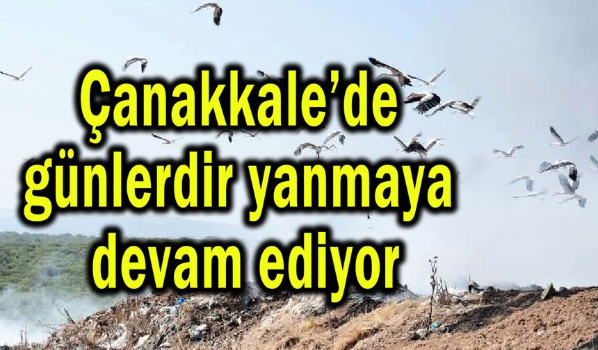 Çanakkale’de günlerdir yanmaya devam ediyor