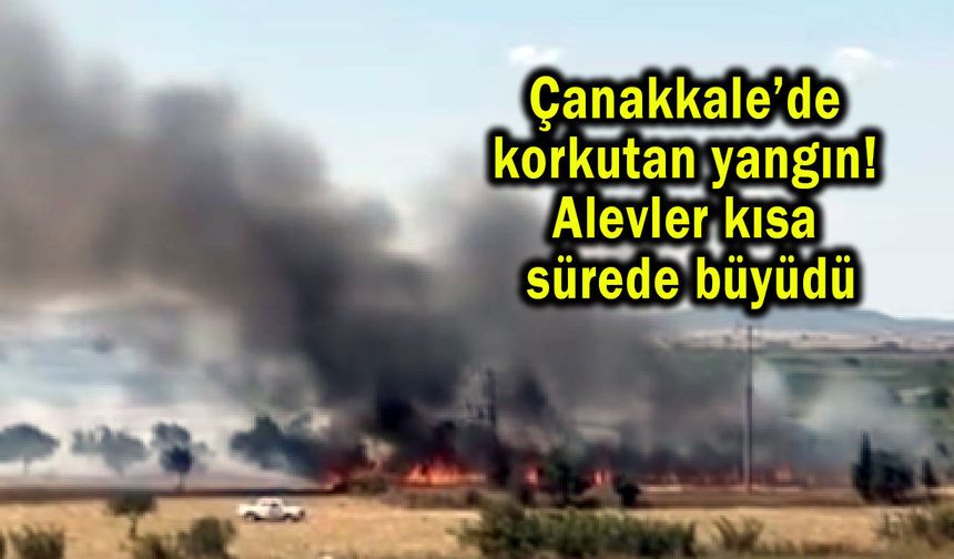 Çanakkale’de alevler kısa sürede büyüdü (Video)