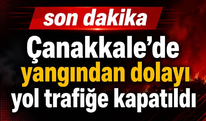 Çanakkale’de yangından dolayı yol trafiğe kapatıldı