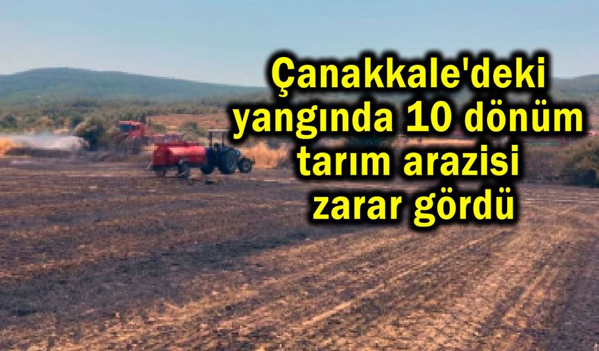 Çanakkale'de 10 dönüm tarım arazisi zarar gördü