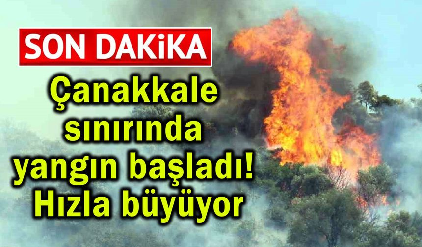Çanakkale sınırında yangın başladı! Hızla büyüyor