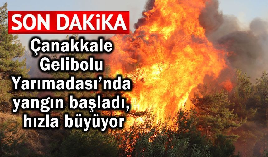 Çanakkale Gelibolu Yarımadası’nda yangın başladı