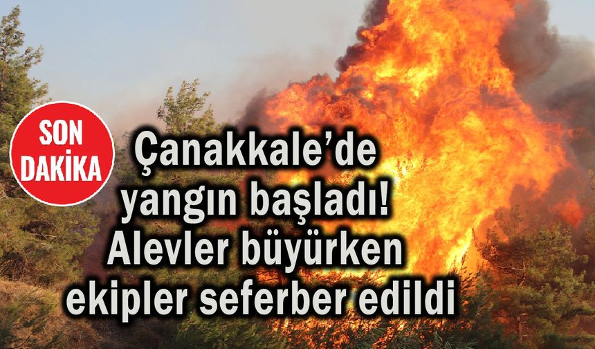 Çanakkale’de yangın başladı! Alevler büyüyor