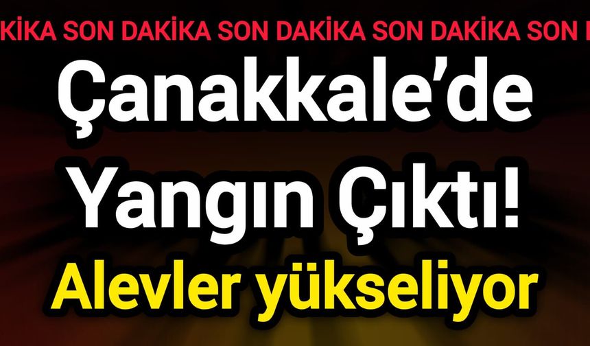 Çanakkale’de Yangın Çıktı! Alevler yükseliyor