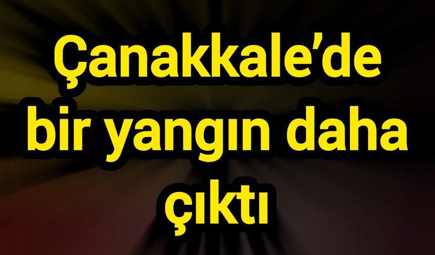 Çanakkale’de bir yangın daha çıktı