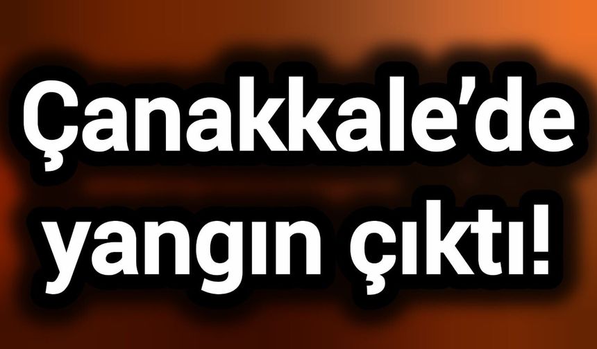 Çanakkale’de yangın çıktı!