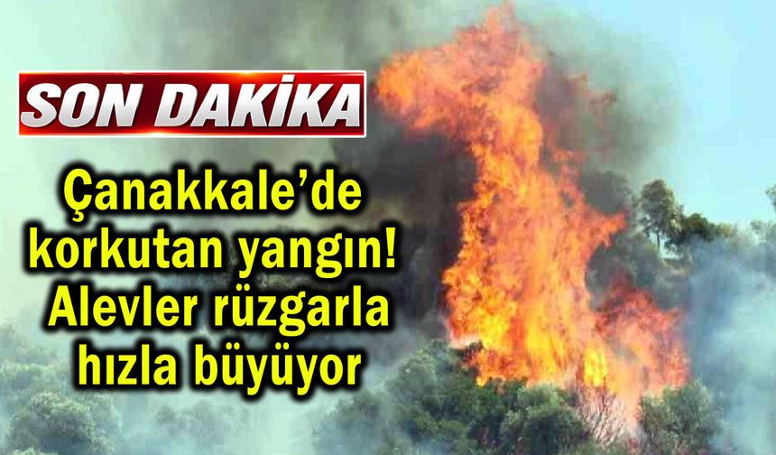 Çanakkale’de korkutan yangın! Alevler hızla büyüyor