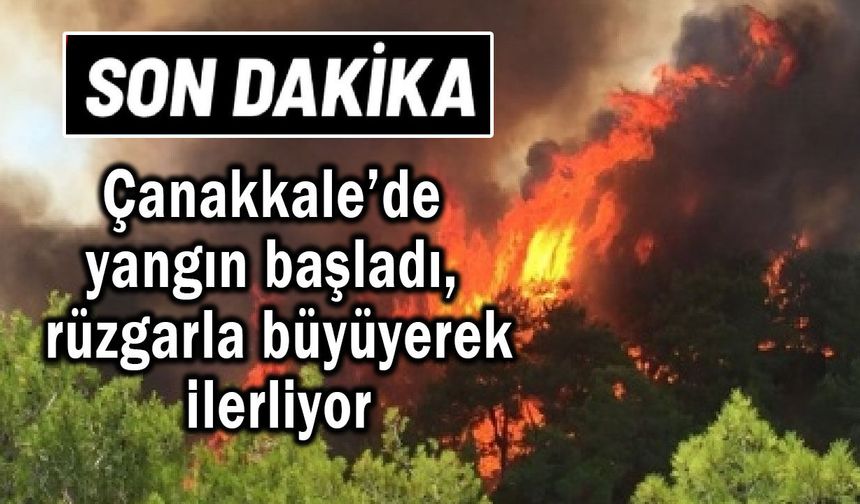 Çanakkale’de yangın başladı, rüzgarla büyüyerek ilerliyor