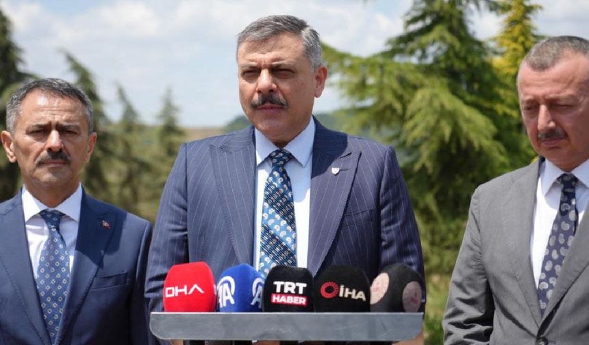 Yıl sonuna kadar tüm sokak hayvanlarını barınaklara alınacak (Video)