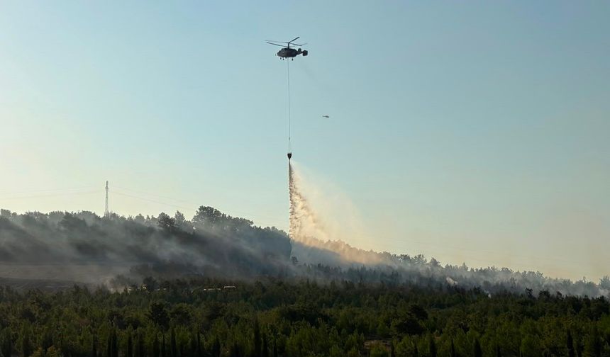 Çanakkale Valiliği'nden yangınla ilgili açıklama!