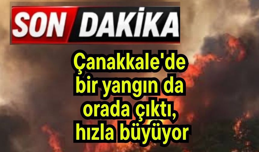 Çanakkale'de bir yangın da orada çıktı, hızla büyüyor (Video)