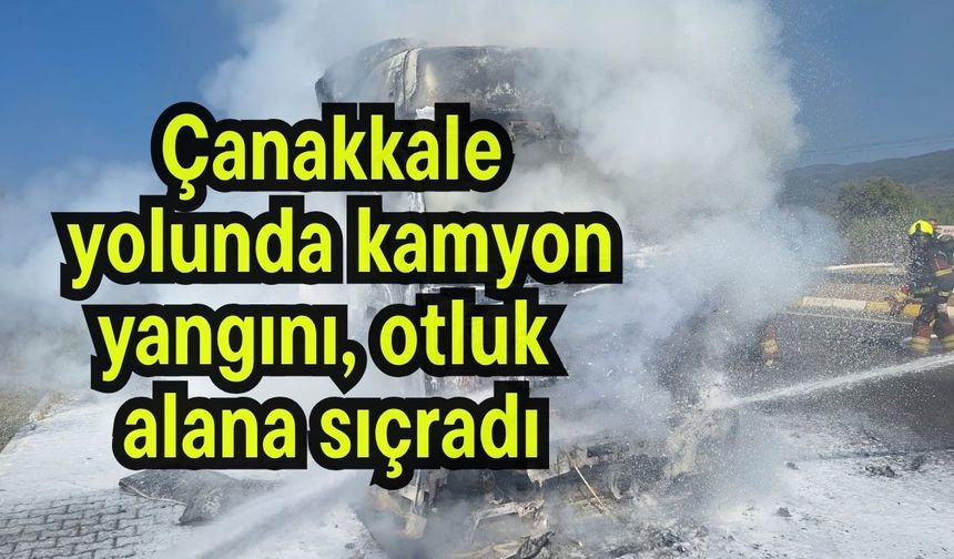 Çanakkale yolunda kamyon yangını, otluk alana sıçradı