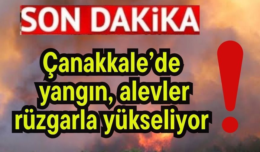 Çanakkale’de yangın, alevler rüzgarla yükseliyor!