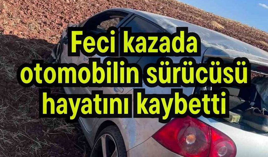 Feci kazada  otomobilin sürücüsü hayatını kaybetti
